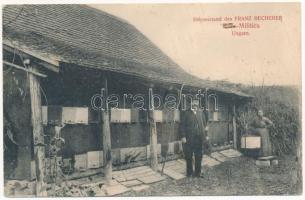 Militics, Rácz-MIlitics, Srpski Miletic; Bienenstand des Franz Becherer / méhészet / apiary, beekeeping farm (r)