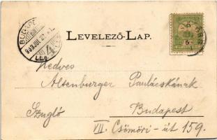 1903 Alsóörs, Alsó-Eörs fürdőtelep a Balaton partján, nyaralók, vitorlás. Divald, Art Nouveau, flora...