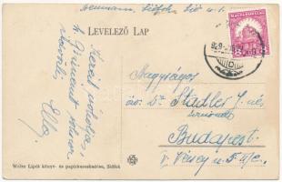 1929 Siófok, vasútállomás. Weisz Lipót kiadása (EK)