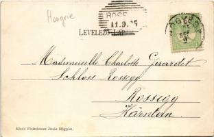 1905 Hőgyész, Fő utca, látkép északkeletről. Fleischmann Jónás kiadása (EK)