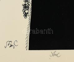 Szász Endre (1926-2003): Hölgy kendővel. Szitanyomat, papír, jelzett. 47x67 cm. Üvegezett, kissé sér...