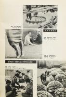 1961 4. Nemzetközi Művészi Fotókiállítás Budapest Ernst Múzeum képes katalógus