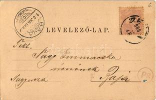 1900 Zenta, Senta; Eugen herceg emlékmű a szigeten. Straub ödön kiadása / monument (EK)