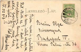 1907 Törökbecse, Újbecse, Novi Becej; Solymos lak / villa (fl)