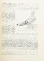Teremi Gábor: A galamb. Bp., 1956. Mezőgazdasági. Kiadói félvászon kötésben, 266p