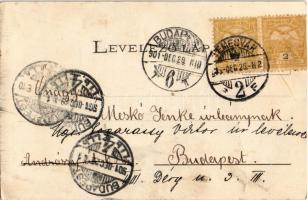 1901 Temesvár, Timisoara; Római katolikus templom. J. Raschka kiadása / church