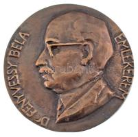 DN "Dr. Fenyvessy Béla emlékérem" bronz emlékérem (75mm) T:AU