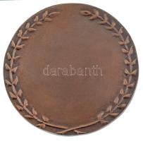 DN "Dr. Fenyvessy Béla emlékérem" bronz emlékérem (75mm) T:AU