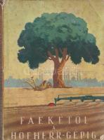 Sevin Henrik: Faekétől a Hofherr-gépig. A Hofherr-Schrantz-Clayton-Shuttleworth Magyar Gépgyári Művek Részvénytársaság története. 1842-1869-1944. Budapest, 1944. (Révai Testvérek ny.) 272 p. Egyetlen kiadás. Oldalszámozáson belül hártyapapírral védett címképpel, valamint 220 szövegközti illusztrációval gazdagon díszített ipartörténeti szakmunka. A marketing célzatú kiadvány képanyaga cséplési idillekben és boldog traktorozási jelenetekben gazdagnak mondható, és szépen látható a Nyugati pályaudvar környékének, illetve Kispestnek markáns gépgyári fejlődése. A fedőborítók belső oldalán foltosság, egyes oldalakon kisebb, az utolsó oldalakon határozott foltosság. BOEH VIII: 3065. Fűzve, színes, Gönczi-Gebhardt Tibor által illusztrált, sérült, enyhén foltos kiadói borítóban.