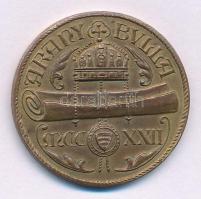 1922. "Múzeumegyesület Székesfehérvár / Aranybulla MCCXXII" kétoldalas aranyozott bronz em...