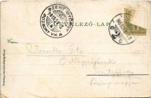 1905 Pozsony, Pressburg, Bratislava; Maria Schutz Waisenhaus / Mária árvaház. Verlag "Bediene d...