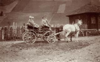 Gries im Sellrain horse cart