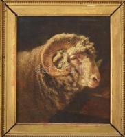 ?? Kaufmann, Adolf (1848-1916): Kosfej. Olaj, vászon, a kereten autográf? felirattal. Dekoratív, kis...