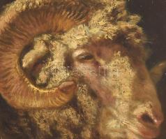 ?? Kaufmann, Adolf (1848-1916): Kosfej. Olaj, vászon, a kereten autográf? felirattal. Dekoratív, kis...