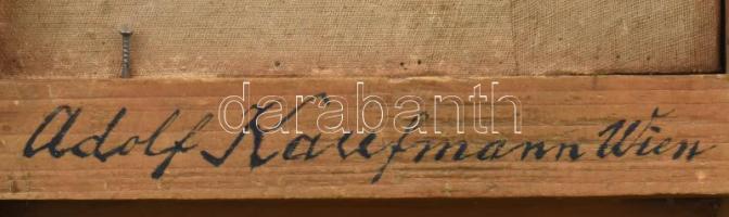 ?? Kaufmann, Adolf (1848-1916): Kosfej. Olaj, vászon, a kereten autográf? felirattal. Dekoratív, kis...