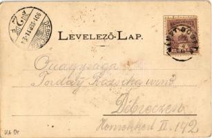 1901 Resicabánya, Resicza, Recita, Resita; Directions-Park / Igazgatósági park. Ifj. Neff Károly kia...