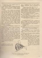 A Társaság. Szépirodalmi és társadalmi képes hetilap különszáma (1919. augusztus).
Budapest, 1919. ...