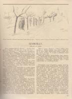 A Társaság. Szépirodalmi és társadalmi képes hetilap különszáma (1919. augusztus).
Budapest, 1919. ...