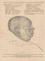 A Társaság. Szépirodalmi és társadalmi képes hetilap különszáma (1919. augusztus).
Budapest, 1919. ...