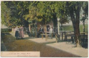 1909 Nagyszeben, Hermannstadt, Sibiu; Új Világ vendéglő kerthelyisége / Gruss aus der Neuen Welt / New World restaurant and its garden. Photografie von Joseph Briegel (EK)