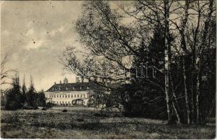 Malacka, Malatzka, Malacky; Pálffy kastély. A. Wiesner kiadása / castle (EK)