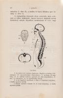 Huxley, Thomas Henry:
Előadások az elemi élettan köréből. Az eredetinek harmadik kiadása után fordí...
