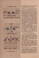 Élet és Tudomány. Munkások a tudományért - Tudósok a munkásokért. Felelős szerkesztő: Mariska Zoltán...