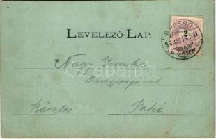 1899 (Vorläufer) Sepsiszentgyörgy, Sfantu Gheorghe; Kossuth Lajos utca este. Benkő M. kiadása / stre...