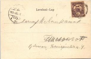 1901 Barlangliget, Höhlenhain, Tatranská Kotlina (Tátra, Magas-Tátra, Vysoké Tatry); Sima T. kiadása...
