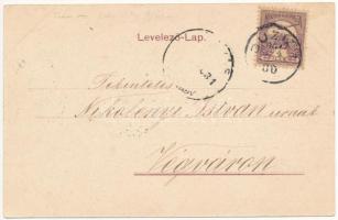 1901 Buziásfürdő, Baile Buzias; Bazár, Gyógyterem, sétány a melegfürdőhöz. Kossak József udvari fény...