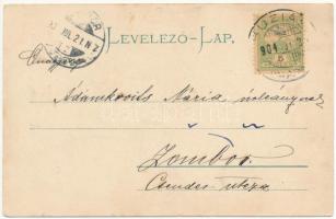 1904 Buziásfürdő, Baile Buzias; út az acélfürdőhöz / spa, road to the baths (EK)