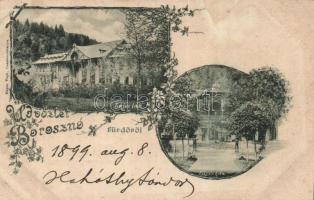 1899 Borosznó spa with Lajos Villa