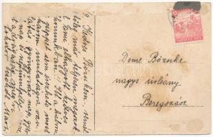 1917 Nyitra, Nitra; Vármegyeház utca, Meitner Miksa üzlete / street, shops (Rb)