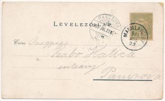 1905 Marilla, Marillavölgy, Marila; Belégzés kamra, inhaláló. Gross Gyula kiadása / spa, inhalation ...