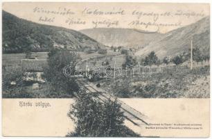 1904 Körösvölgye, Körös-völgye, Valea Cris; vasútvonal. Ferenczi és Társa fényképészeti műterem kiadása / railway line (fl)