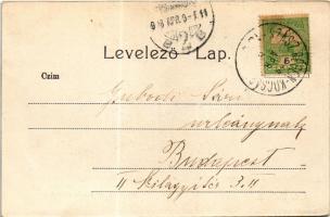 1908 Szászrégen, Reghin; Stadtteil / Város részlet. Ignatz Hübner kiadása / general view (EK)