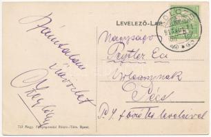 1913 Kolozs, Kolozs-Sósfürdő, Kolozsfürdő, Cojocna; uszoda / spa, swimming pool. Art Nouveau, floral...