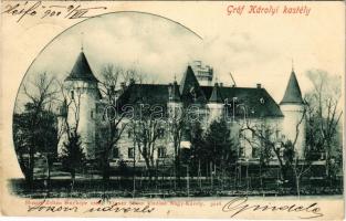 1900 Nagykároly, Carei; Gróf Károly kastély. Huszty Zoltán fényképe után. Eigner Simon kiadása / castle (EK)