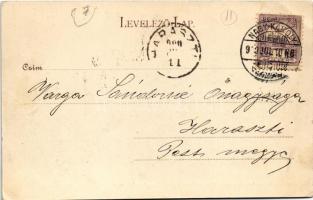 1900 Nagykároly, Carei; Gróf Károly kastély. Huszty Zoltán fényképe után. Eigner Simon kiadása / cas...