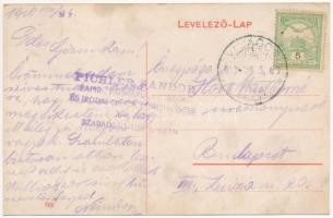 1910 Világos, Siria; Báró Bohus kastély, melyben 1849-ben a fegyverletét aláíratott / castle (r)