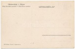 Szászváros, Broos, Orastie; Kún Kocsárd és Kuun Géza szobra. Weisz Dezső kiadása / statues