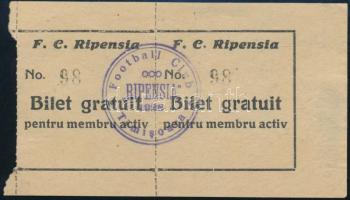 cca 1930 Temesvár, FC Ripensia román futballklub ingyenjegye a klub tagja számára / cca 1930 Timisoara, FC Ripensia Romanian football club's free ticket for a club member