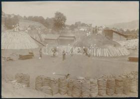 cca 1900 Körtéd település, Bánát Földmunkások / Kruscica Serbia photo 11x15 cm