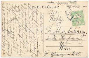 1911 Marosvásárhely, Targu Mures; Széchenyi tér, Transilvania szálloda, Kobrak cipő raktára, Heszke ...