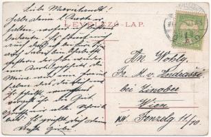 Marosvásárhely, Targu Mures; Széchenyi tér, piac. W.L. Bp. 6414. / market