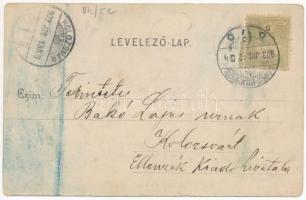 1903 Nagyszalonta, Salonta; Kossuth Lajos szobra. Reich Jakab kiadása / statue, monument (fa)