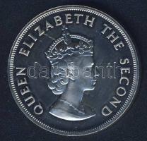 Jersey 1966. 5Sh "Normann hódítás" T:PP