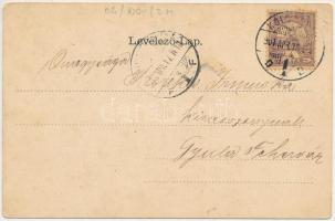 1901 Kolozsvár, Cluj; Fő téri templom, Vashíd körüli paloták, gyógyszertár. Rigó Árpád kiadása. Szec...