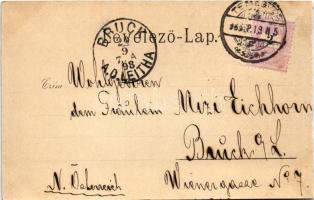 1898 (Vorläufer) Temesvár, Timisoara; Gyárváros, Kossuth tér, Vilsmeier féle Villa Pacsirtamező / Fa...