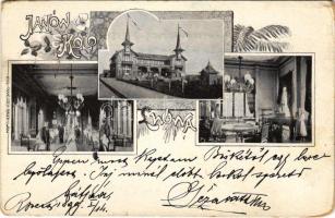 1899 (Vorläufer) Ivano-Frankove, Janów, Yaniv (Lviv, Lwów); Hotel restaurant interior. Franciszek Bauer Art Nouveau, floral (worn corners)